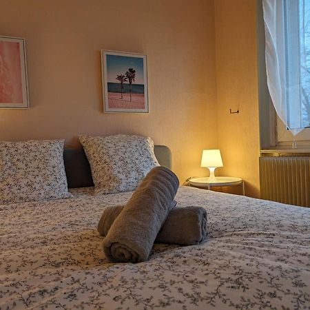 Le Balois - Appartement 2 Chambres, Salon, Cuisine Equipee, Parking Et Wifi Gratuit Μυλούζη Εξωτερικό φωτογραφία
