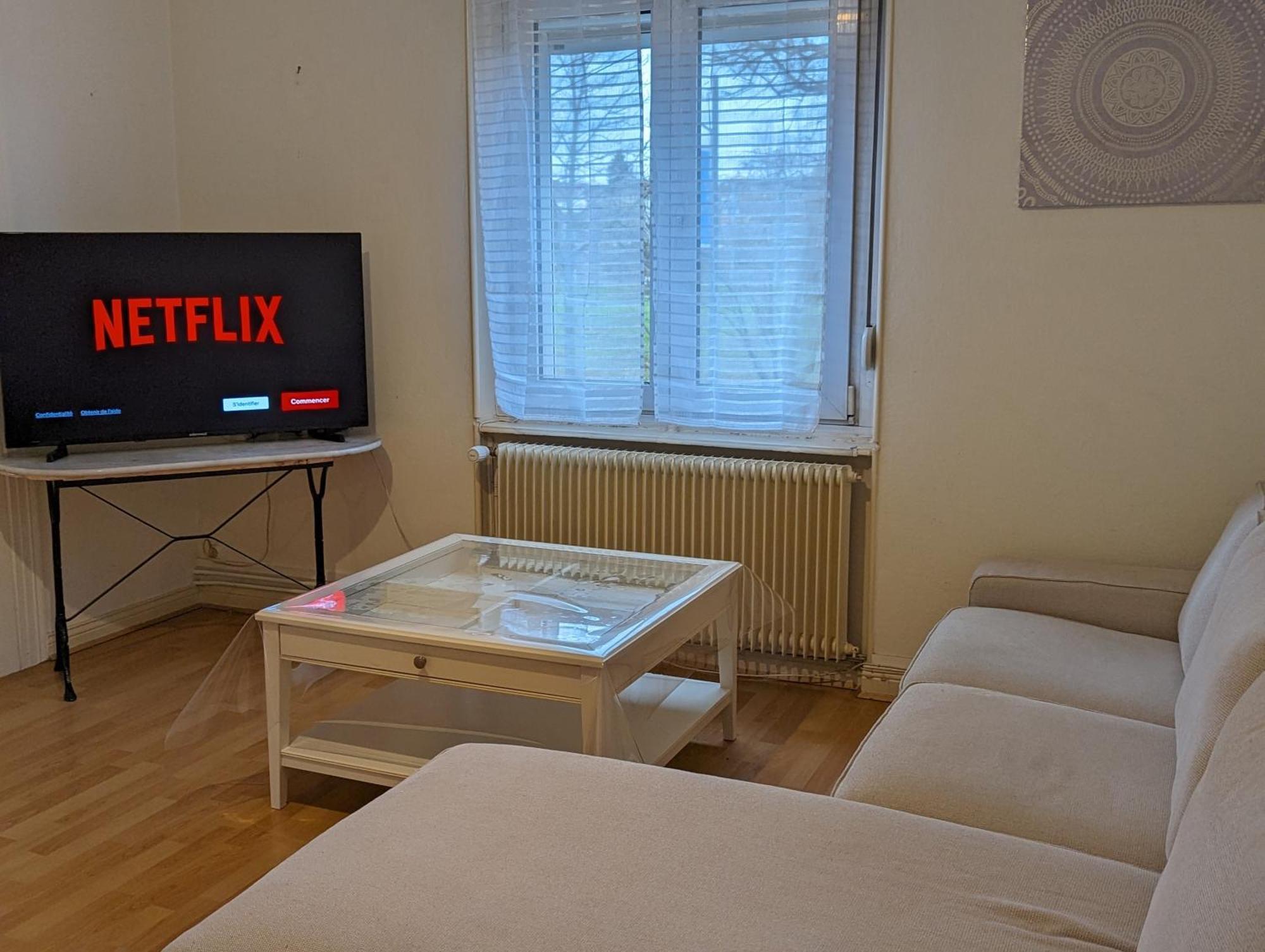 Le Balois - Appartement 2 Chambres, Salon, Cuisine Equipee, Parking Et Wifi Gratuit Μυλούζη Εξωτερικό φωτογραφία