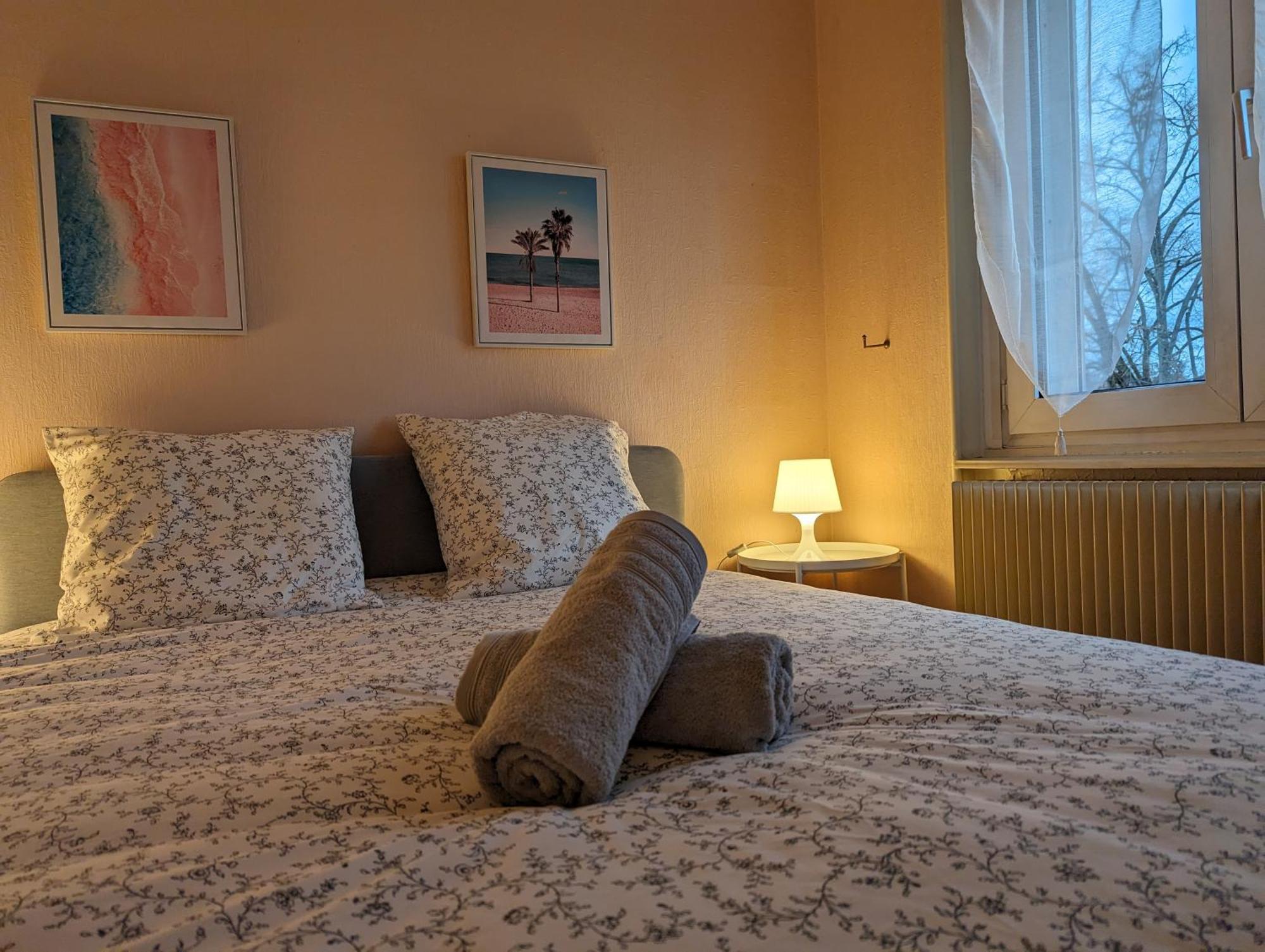 Le Balois - Appartement 2 Chambres, Salon, Cuisine Equipee, Parking Et Wifi Gratuit Μυλούζη Εξωτερικό φωτογραφία
